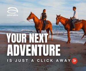 adrenaline.com - Horseback Tour Evergreen, Horse Ride, Trail ride, Horse Adventure, Trail Ride Experience