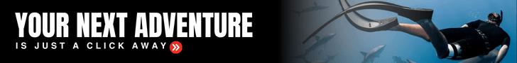 adrenaline.com - Shark Diving Next adventure